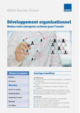 Développement organisationnel