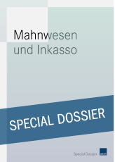 Mahnwesen und Inkasso