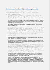 Modèle conditions générales de vente II