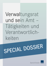 Verwaltungsrat und sein Amt