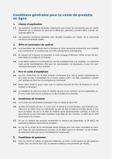 Modèle de CGV pour une boutique en ligne