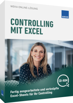 Controlling mit Excel 