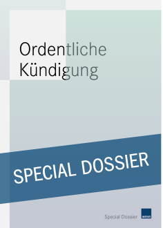 Ordentliche Kündigung 