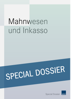 Mahnwesen und Inkasso 