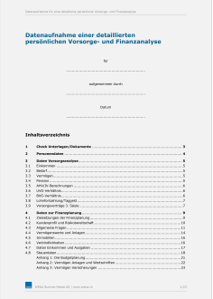 Daten für eine detaillierten persönlichen Vorsorge- und Finanzanalyse 