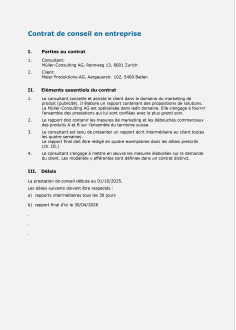 Contrat de conseil en entreprise 