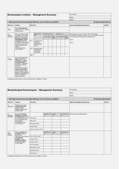 Management Summary Businessplan 