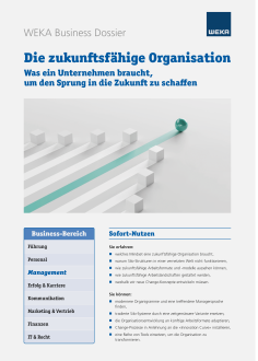 Die zukunftsfähige Organisation 