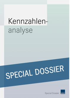 Kennzahlenanalyse 