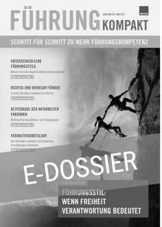 E-Dossier Führungsstile 