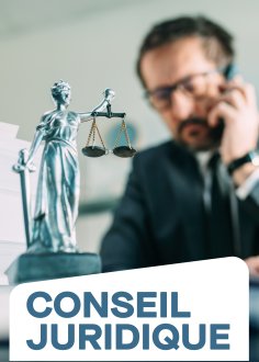 Conseil juridique 