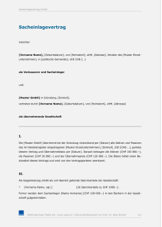 Sacheinlagevertrag AG 