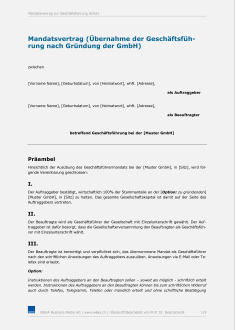 Mandatsvertrag 