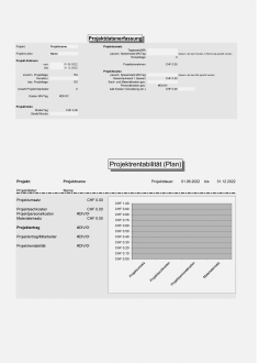 Vorlage Planung und Kontrolle Projektkosten 