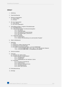 Musterlösung Businessplan 