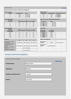 Budgetrechner mit Planungssimulation 