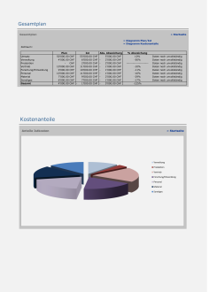 Rechner Budgetkontrolle (Projekte) 