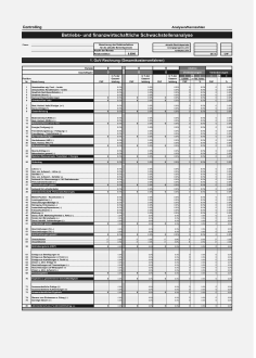 Betriebs- und finanzwirtschaftliche Schwachstellenanalyse 