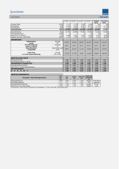 Finanzanalyse Quicktest 