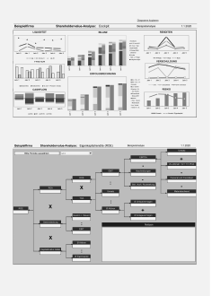 Shareholdervalue-Analyse 