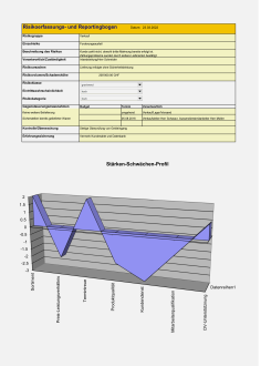 Cockpit Risikomanagement 