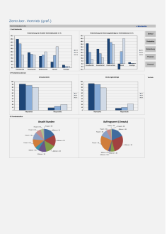 Muster Berichtswesen 