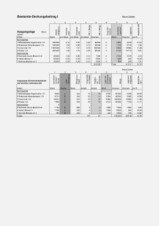 Muster Bestands-Deckungsbeitrag I 