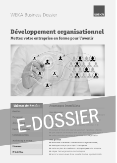 E-Dossier Développement organisationnel 
