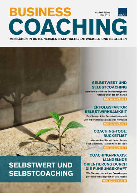 Newsletter Business Coaching 