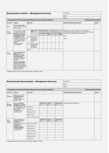 Management Summary Businessplan 