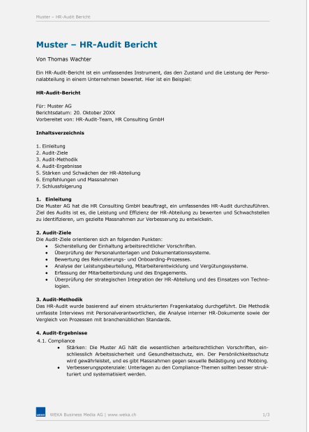 Muster HR Audit-Bericht 