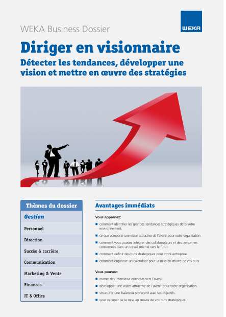 Diriger en visionnaire 