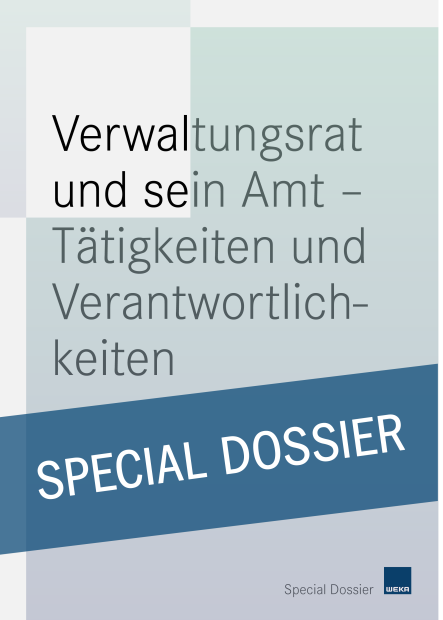 Verwaltungsrat und sein Amt 