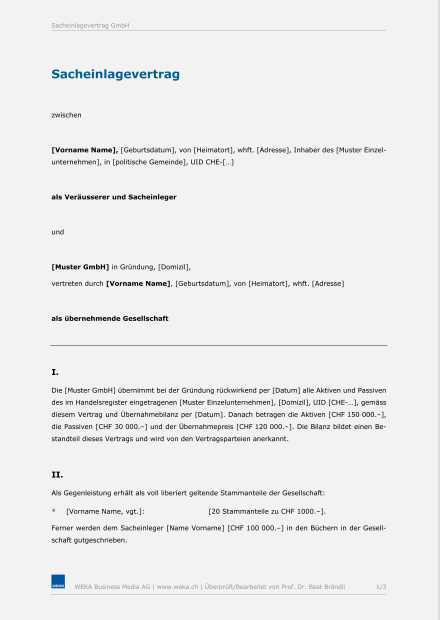 Sacheinlagevertrag AG 