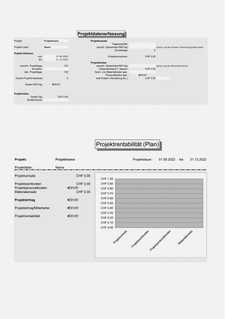 Vorlage Planung und Kontrolle Projektkosten 
