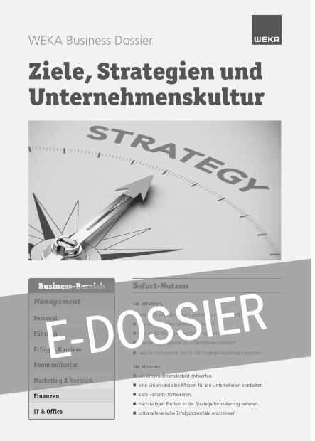 E-Dossier Ziele, Strategien und Unternehmenskultur 