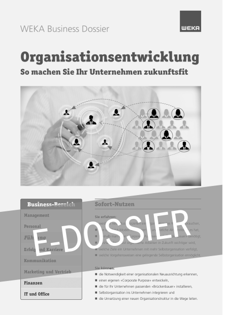 E-Dossier Organisationsentwicklung 