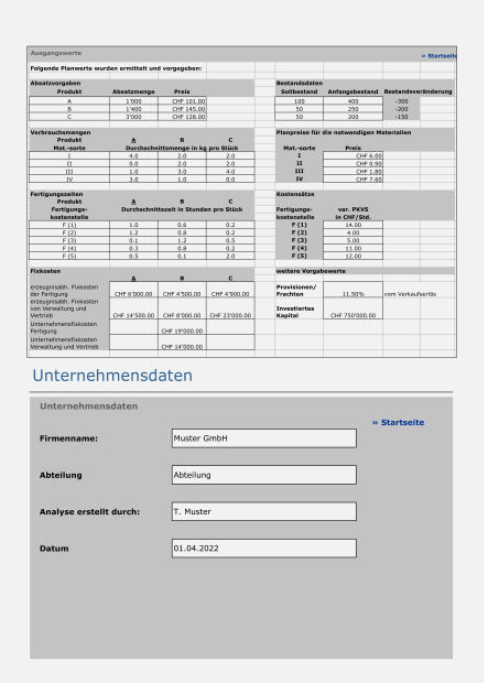 Budgetrechner mit Planungssimulation 