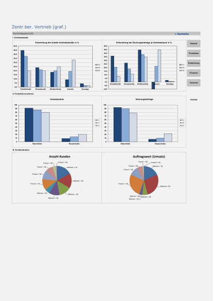Muster Berichtswesen 