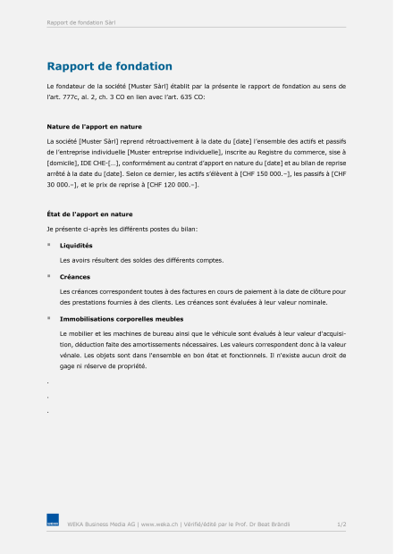 Rapport de fondation 