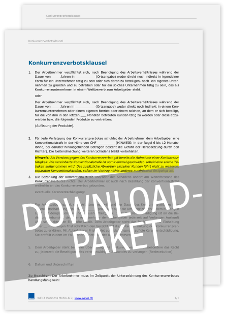 Download-Paket Schutz der Geschäftsinteressen 