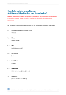 Download-Paket Handelsregister-Meldungen korrekt und effizient einreichen 