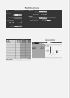 Download-Paket Projektcontrolling 