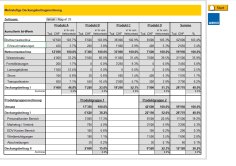 Download-Paket Deckungsbeitrags-Analyse 