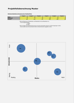 Download-Paket Projektcontrolling 