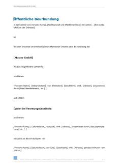 Download-Paket Schweizer Gesellschaftsrecht – GmbH 