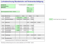 Download-Paket Stundenlohn 