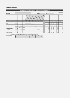 Download-Paket Risikomanagement 