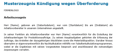 Download-Paket Arbeitszeugnisse verschiedene Fälle 